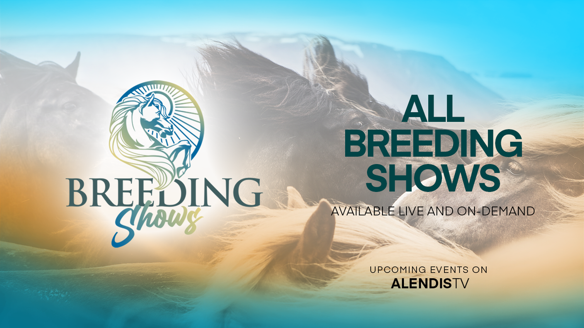 Breeding Shows 2021 Alendis