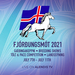 Seiður frá Hólum - IS2015158304 - Fjórðungsmót Yfirlit